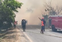 40 Hektare Lahan di Kersik Putih Hangus Terbakar, Titik Api Dilaporkan Masih Muncul Kersik Putih Hangus Terbakar