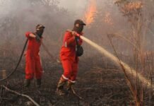 Hujan Mulai Berpeluang di Kalsel, BMKG Tetap Waspadai Ancaman Karhutla BMKG Karhutla