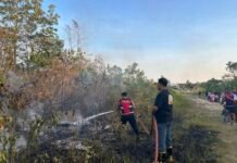 Tanah Bumbu Siaga Karhutla, Polisi Selidiki Dugaan Pelaku Pembakaran Tanah Bumbu Siaga Karhutla