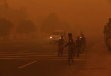 Kabut Asap Karhutla Kepung Palangka Raya, Anak-anak Kesulitan Bernapas Kabut Asap Karhutla