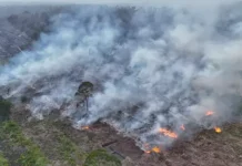 Menagih Tanggung Jawab Negara atas Asap Kalimantan Asap Kalimantan