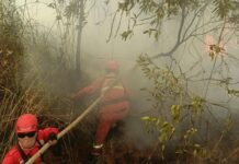 Pemerintah Digugat soal Karhutla dan Kabut Asap Karhutla Kabut Asap