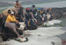 Polda Kalsel Uji Coba Surfaktan Pyrox untuk Pemadaman Karhutla Lewat Udara Polda Kalsel Uji Coba Surfaktan Pyrox