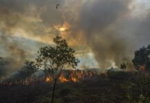 Karhutla di Kalsel, 8 Orang dan 4 Perusahaan Jadi Tersangka Karhutla Kalsel