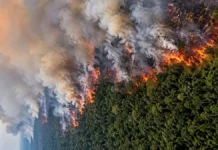 Gubernur Kalteng Nilai Karhutla Belum Perlu Ditetapkan sebagai Bencana Nasional Karhutla Kalteng